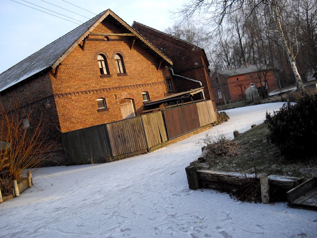 Spreewald im Winter by G.Elser