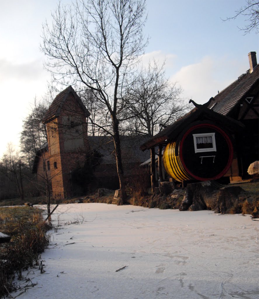 Spreewald im Winter by G.Elser