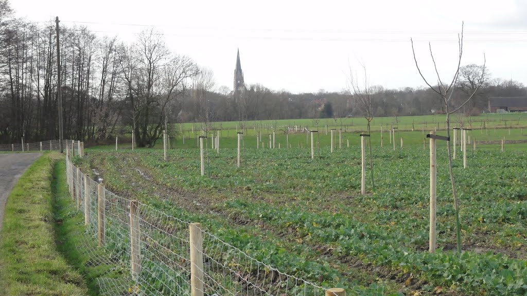 Obstwiese am Ickerottweg by windowskill