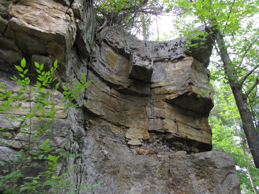 Your trail guide says that this was formed by a water fall, but it was not. See comments below. A sample of a sandstone log that would have done this, is on display at Miller Hall Museum of Geology at Queens University, on the back wall. It is about a half m. long, and a third m. in diameter. This is 500 million year old conglomerate and orthoquartzites of the Upper Cambrian era. by Steve Manders