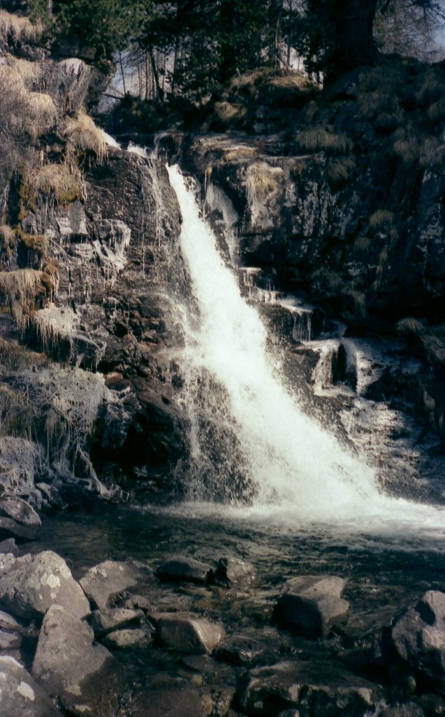 1980 4 Predazzo, Piano dei Casoni cascata Rio Vallazza by mario ghezzi