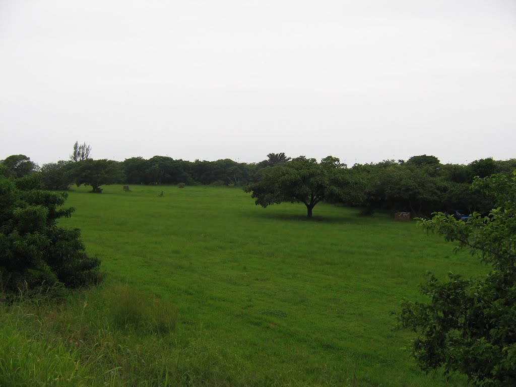 Open land flanking the Mngeni River Estuary by John A Forbes