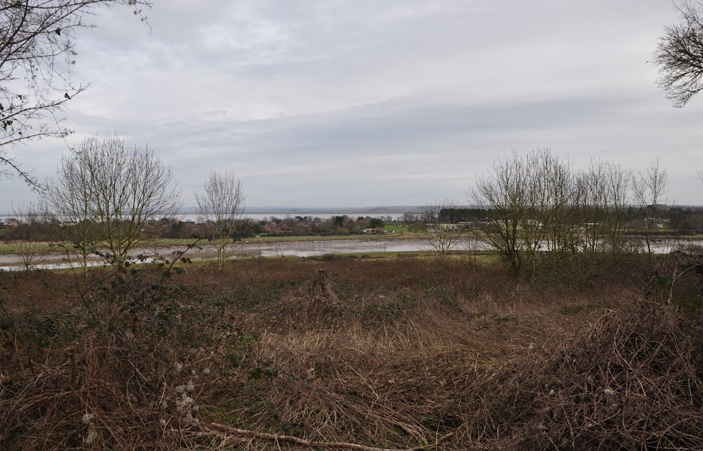 Chepstow : Bushes & River Wye by A Photographer