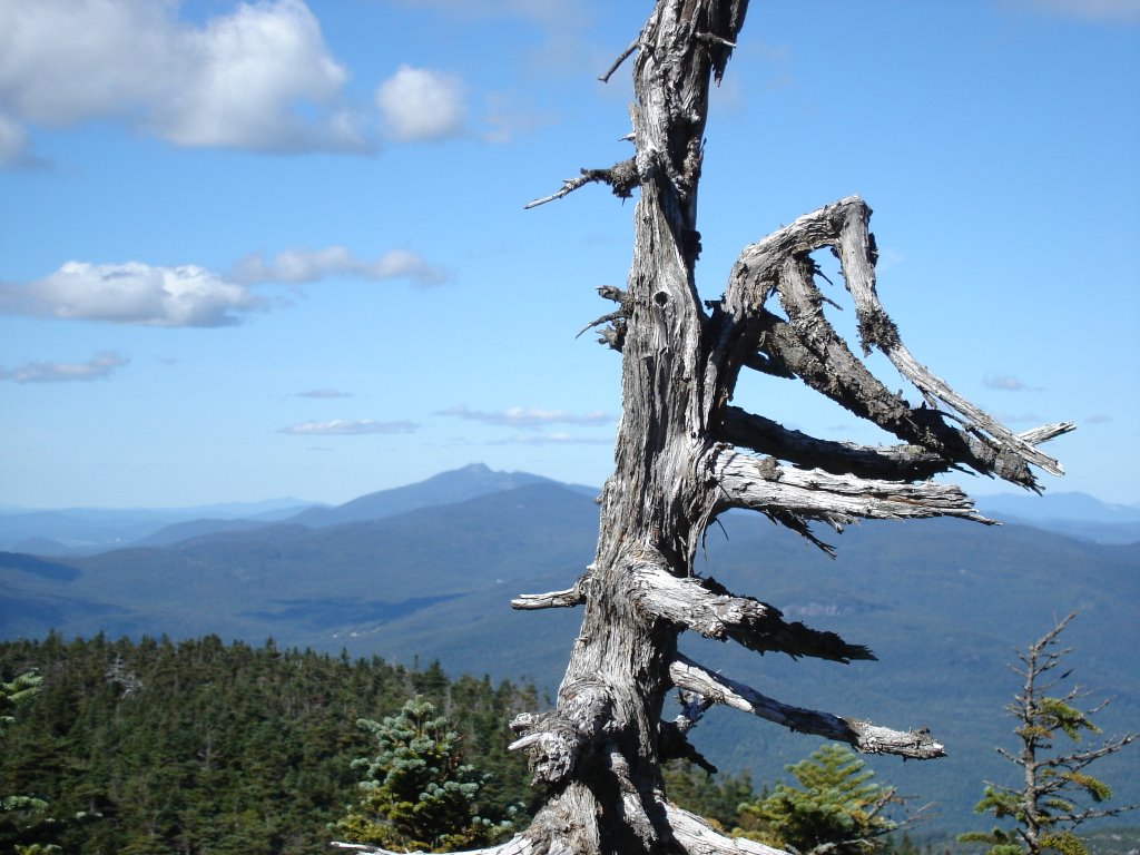 Looking towards Mt Mansfield by irishlazz