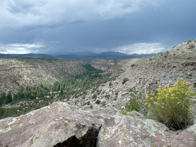 Overlook into Valley by Paul Adams