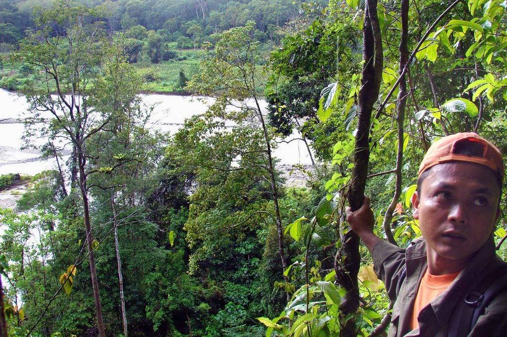 Leuser National Park, Ketambe by Max Melgaard