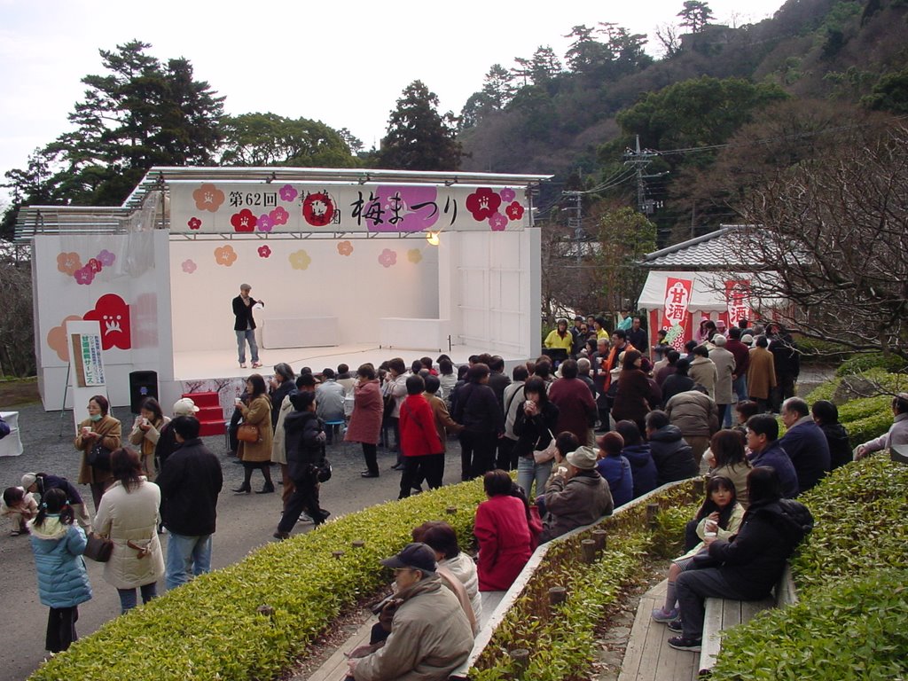 Ume-matsuri(festival) by Fuji Miyuh