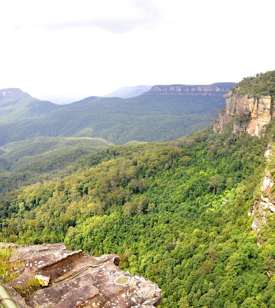 KATOOMBA - BLUES MOUNTAINS - TREE SISTERS by ml.claude