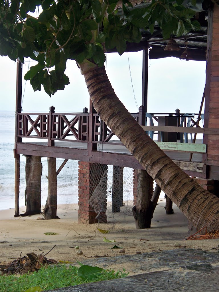 "Nazri Place", Tioman by Sasha India