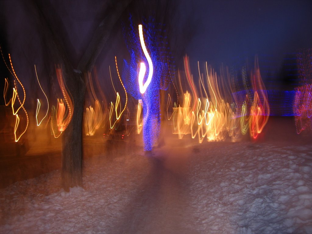 Candy Cane Lane Different Light Patterns Edmonton by David Cure-Hryciuk