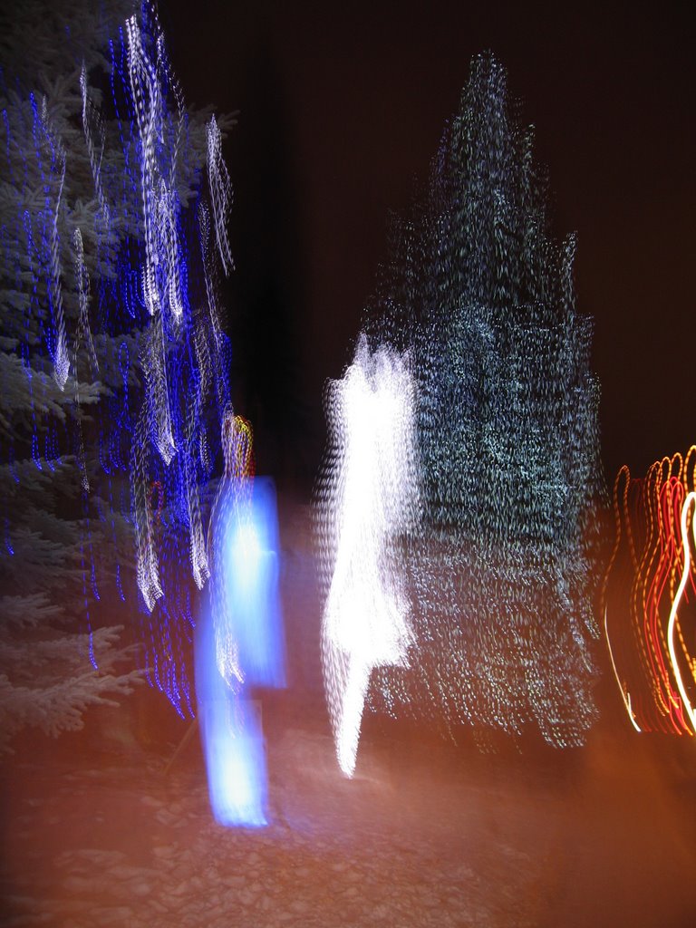 Candy Cane Lane Shimmering Christmas Trees Edmonton by David Cure-Hryciuk