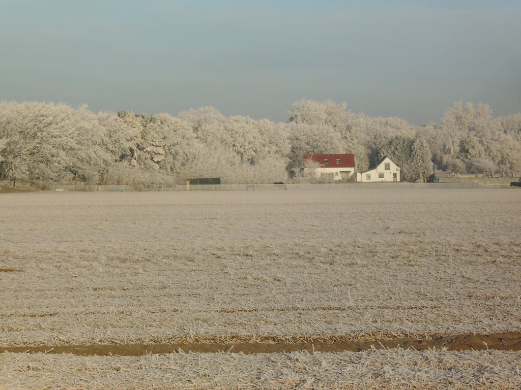 Weg naar de bleek by lady1948