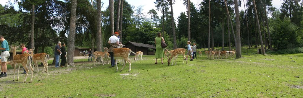 Wildpark Lüneburger Heide by Asphaltschabe