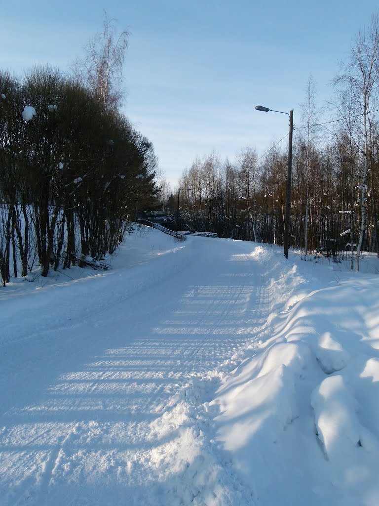 Snowy path, Tampere by Zigsfy