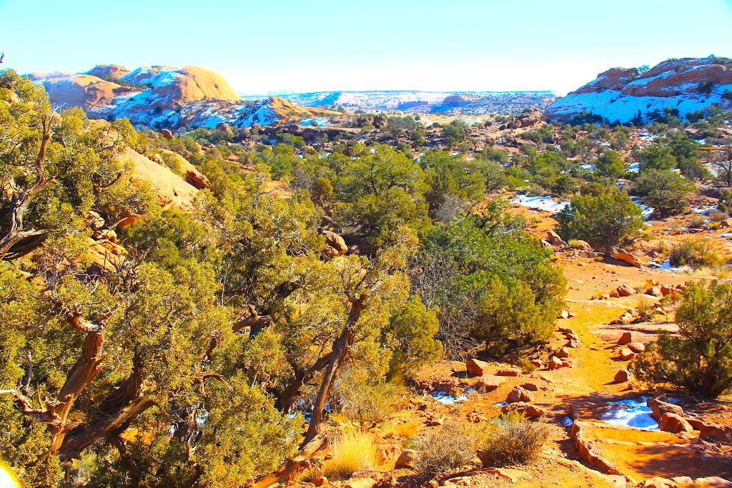 Canyonlands National Park, Utah, Island in the Sky by MICHAEL  JIROCH  &  www.michaeljiroch.com