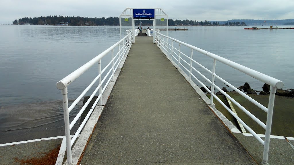 Walking/Fishing pier... by frtzw906