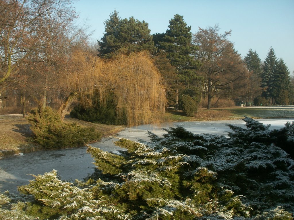 Park Poniatowskiego-zima-15-gb by Millotaurus Grzegorz