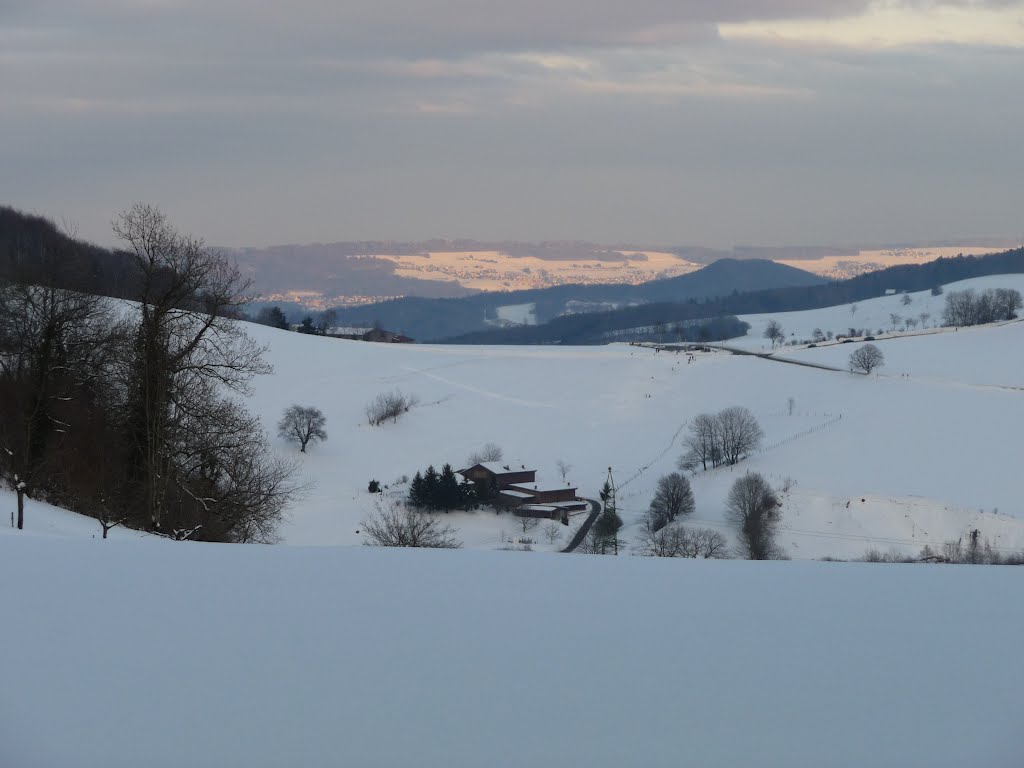 Blick auf den Rohrdorferberg by bienenritter