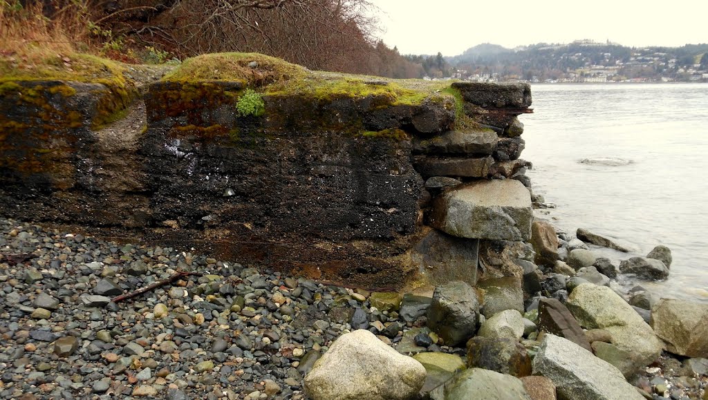 Remnants of the historical (late 1800s and early 1900s) coal wharves at Departure Bay... by frtzw906