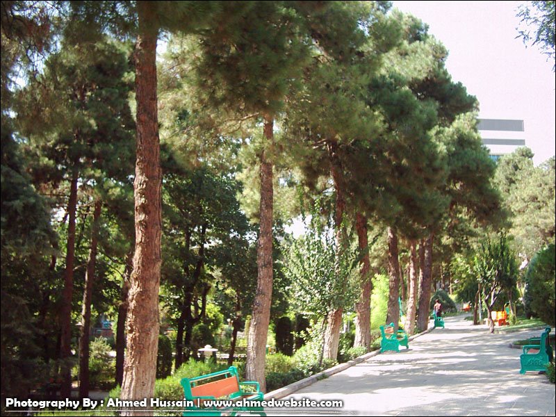 Saiee Park-view1 ( Tehran-Iran ) By Ahmed Hussain by Ahmed Hussain