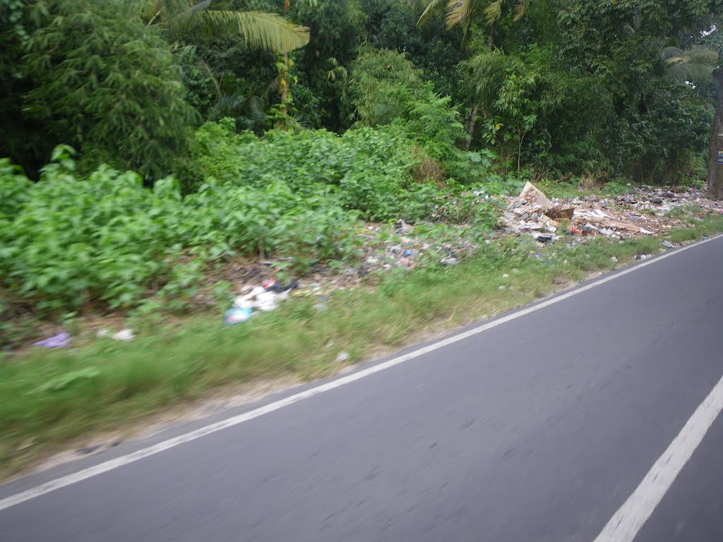 Roadside trash. April 2010. by Lukas Eddy