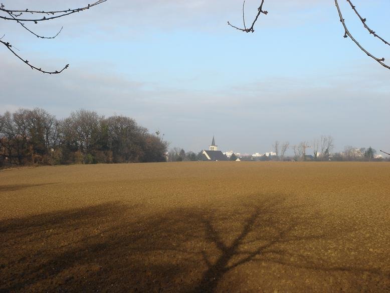 Blick vom Meßdorfer Feld Richtung Dransdorfer Kirche by patrique3000