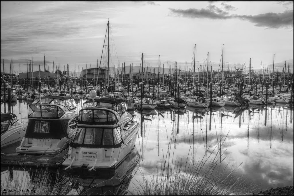 A February Sunset at Squalicum Harbor by MartyLeeB