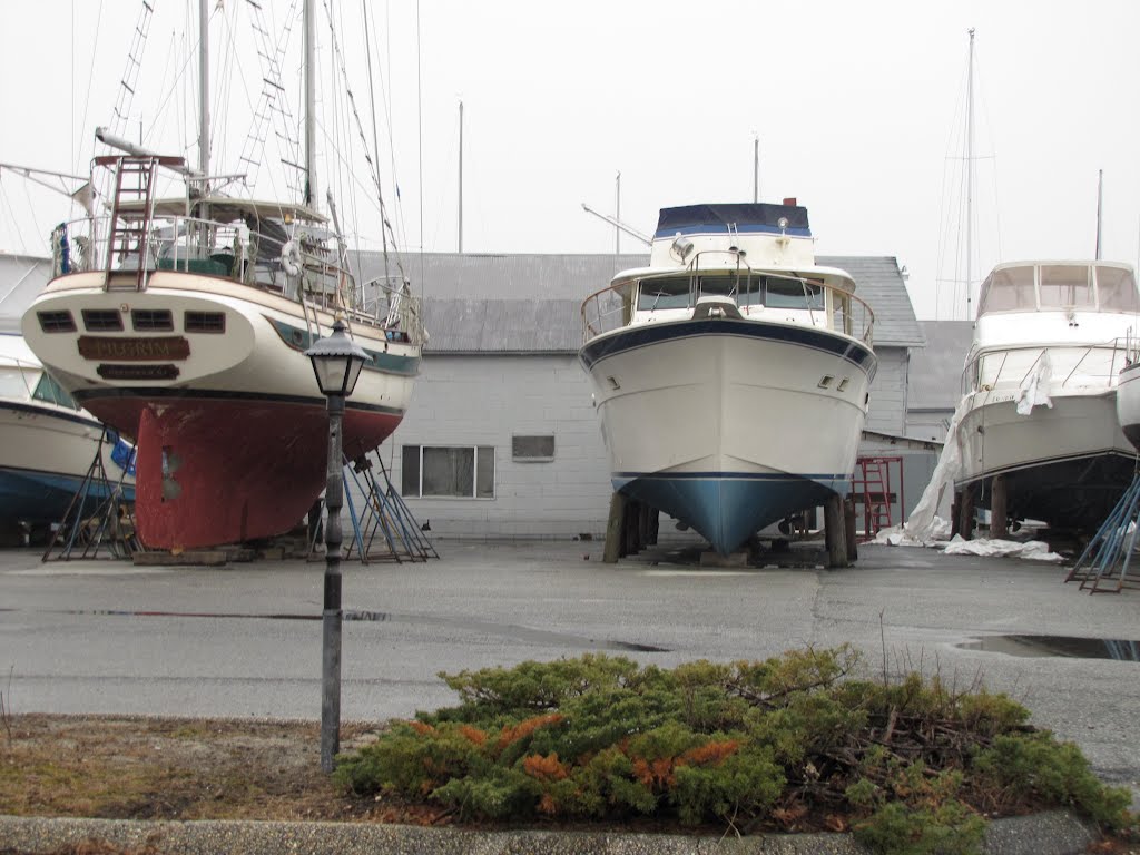 Greenwich Marina Boats by Chris Sanfino