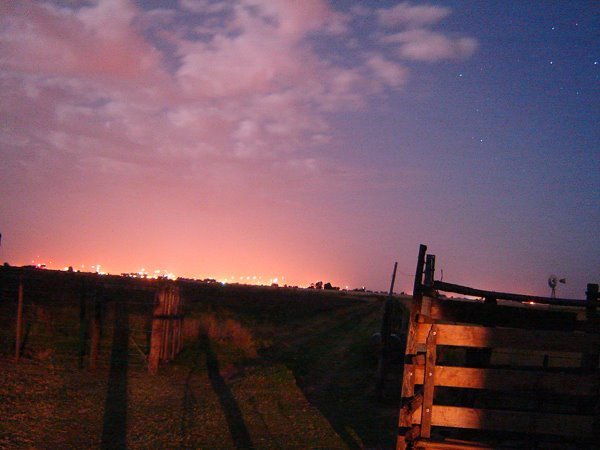 Pehuajó desde el campo by marcelo landi