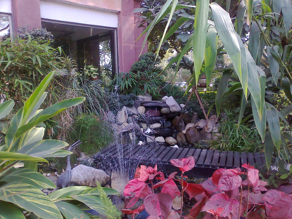 Fountain outside Constitution Club, Rafi Marg, New Delhi by suchitaxaxa