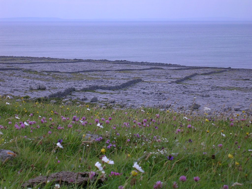 Au cœur du Burren vers Blackhead by Nico irlande