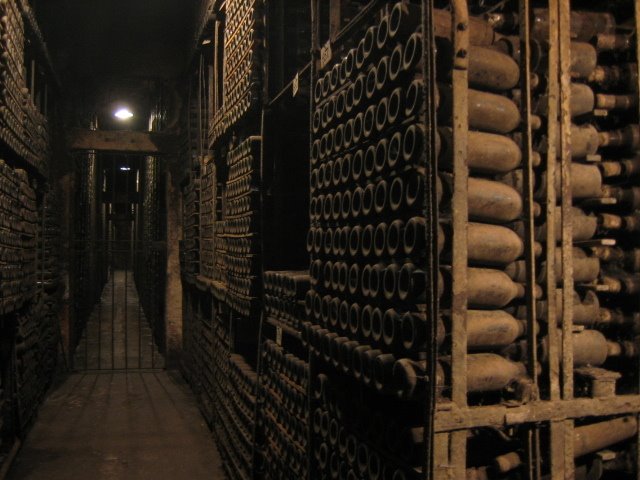 Marques de Riscal - wine cellar by seymoer