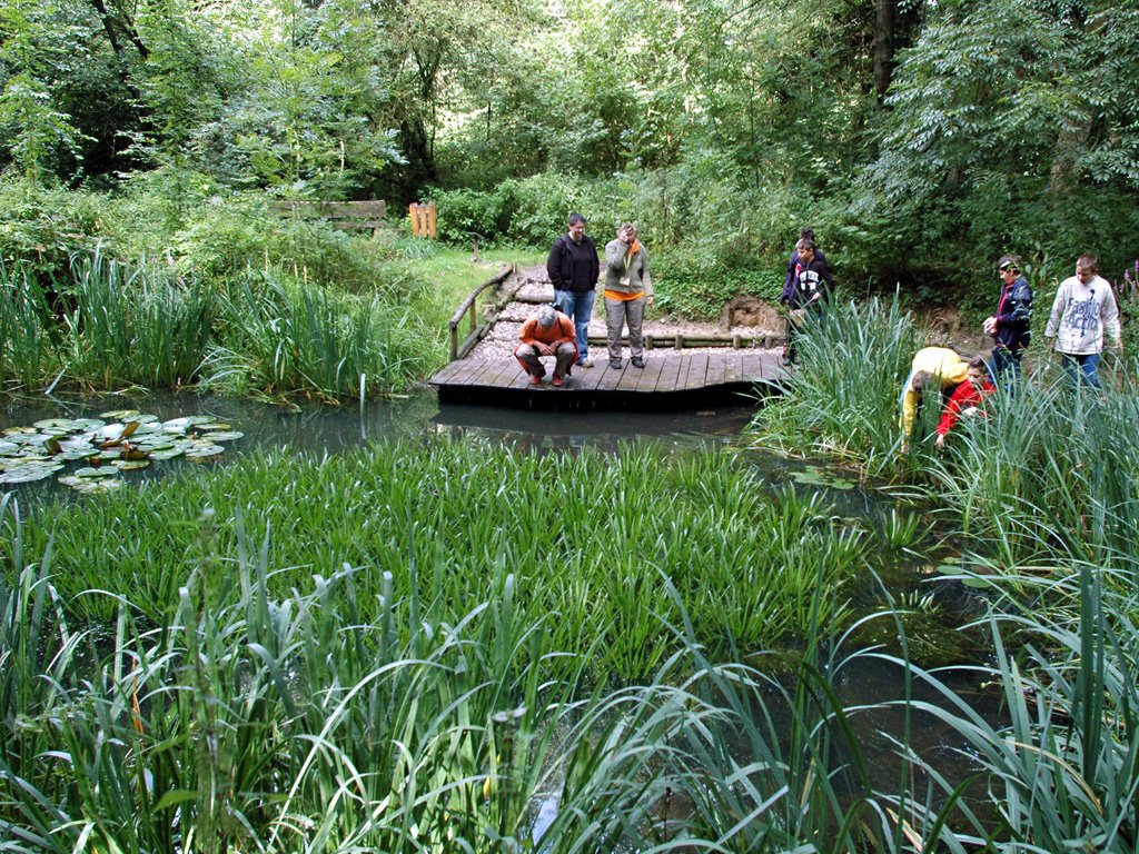 Beobachtungsplattform am Teich by Holger Uwe Schmitt