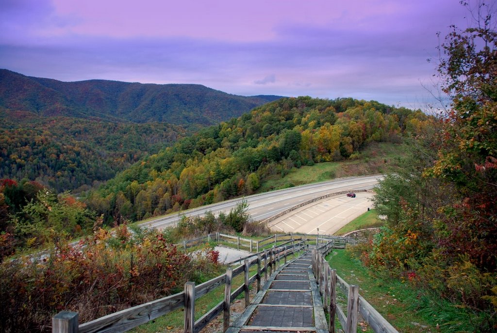 Near Flag Pond, TN by Mark W. Peacock