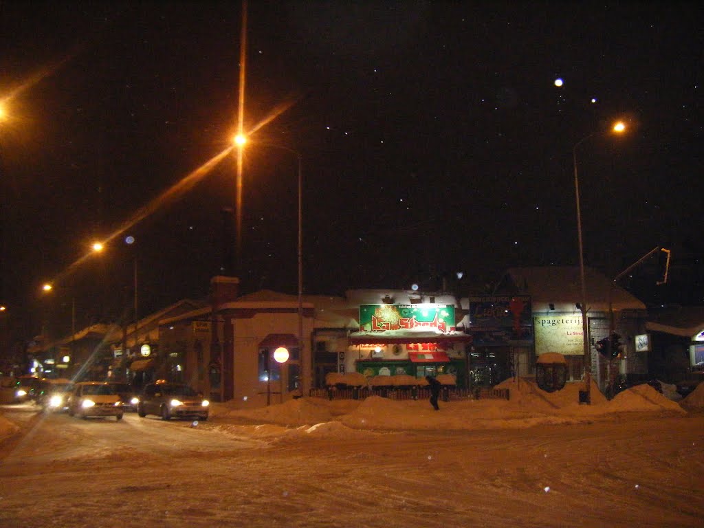 Niš, Srbija: Pos snegom...Nis, Serbia, Under snow by Veljko N. Nis, Serbia