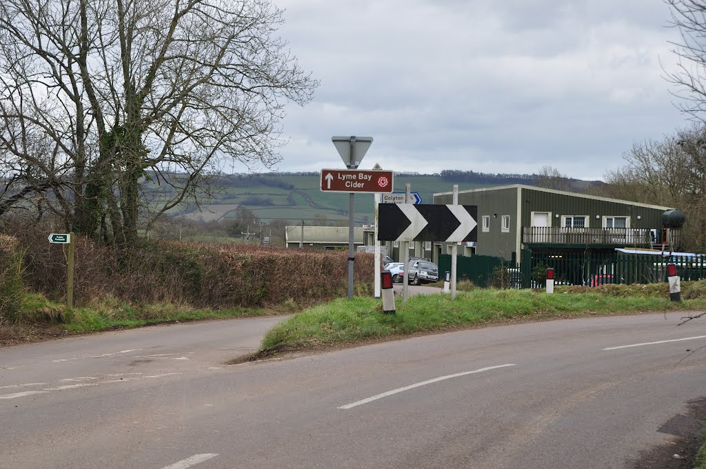 East Devon : Shute Road by A Photographer