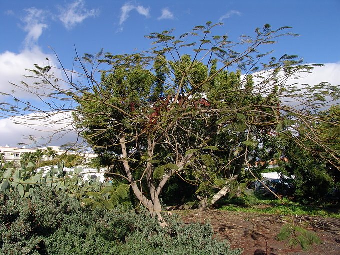 Campo Internacional, 35100 Maspalomas, Las Palmas, Spain by Stanislav Krejcik ww…