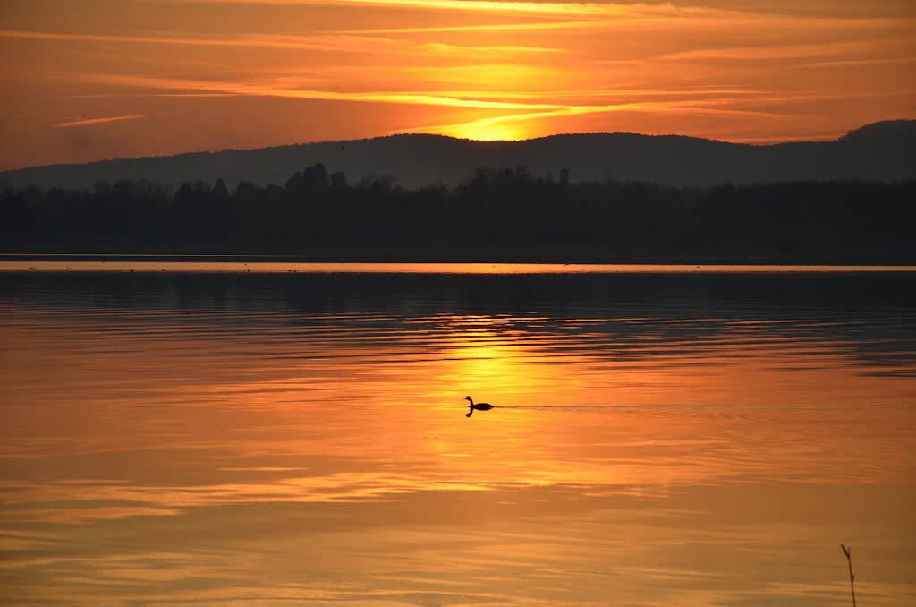 Lago di Varese , tramonto by Rudy.