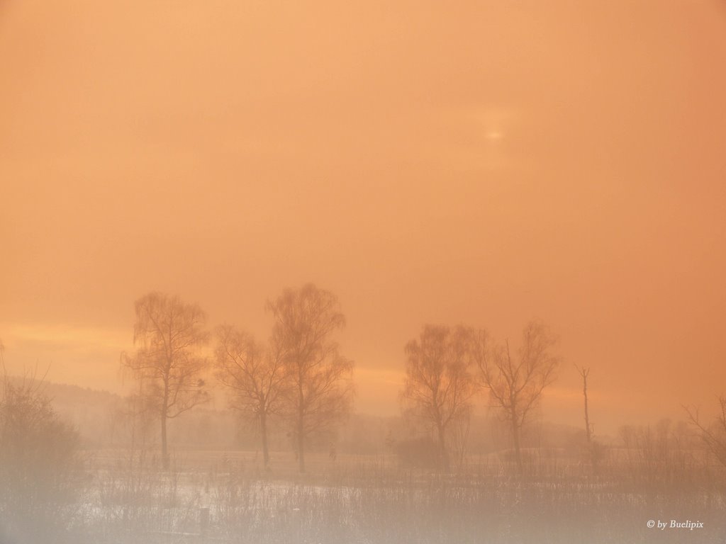 Neeracher Riedt, im Morgenrot und Morgennebel (© Buelipix) by Buelipix