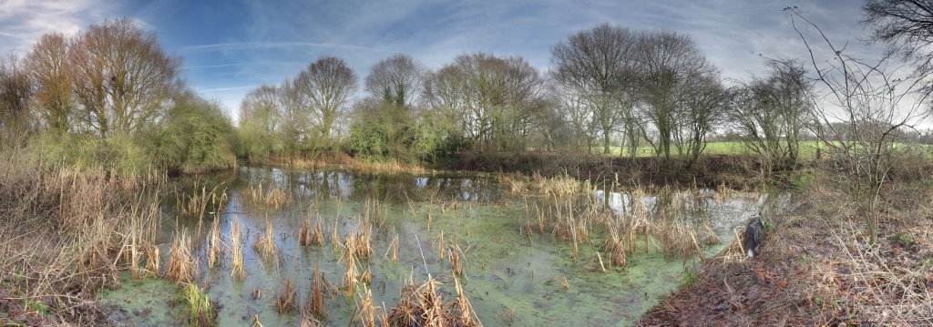 Another Mulbarton Pond by Lozzer