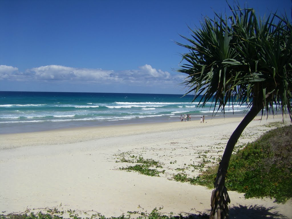 Tugun Beach by Marguerite Carstairs