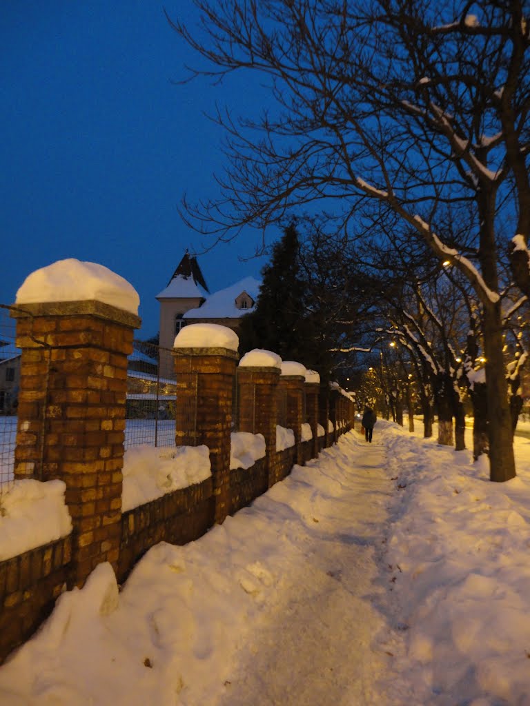 Bulevardul C.D. Loga, Timișoara-Temesvár by Corneliu Anca