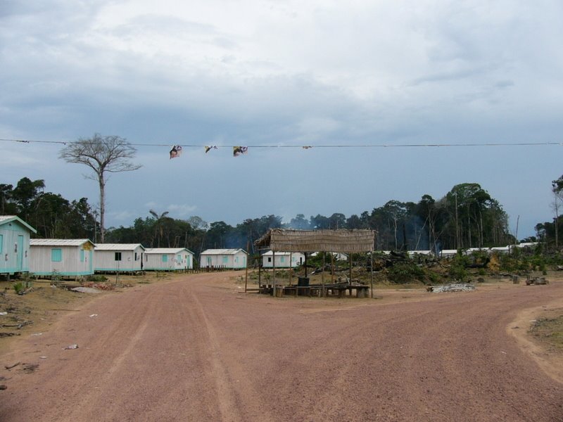 Novo Assentamento do Ramal da Morena , Balbina, Presidente Figueiredo, Amazonas by Renato Lins