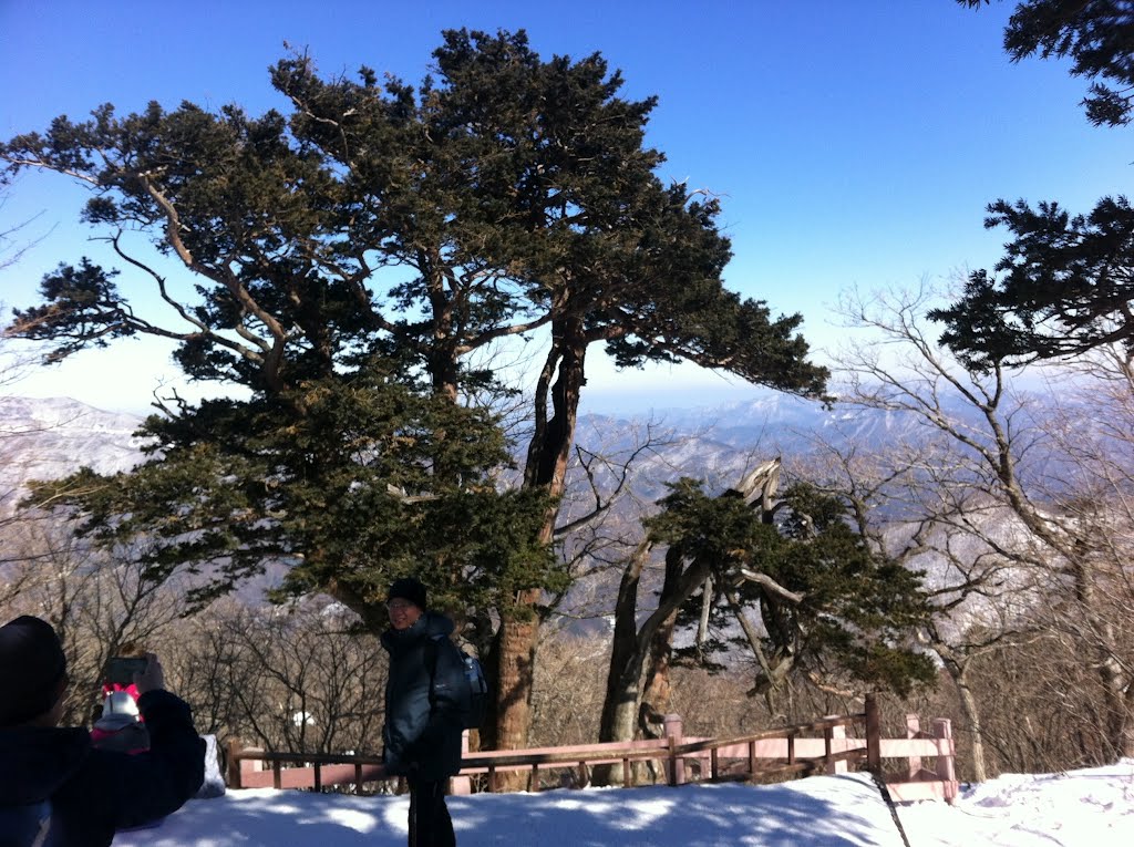 태백산 설경.. taebaeg-san(Mountain), winter,February, Scenery by james.lee