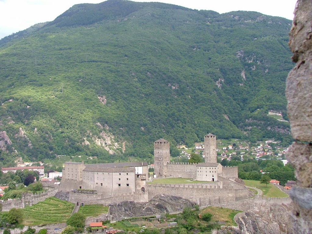 Bellinzona by Lanfranconi Gilberto