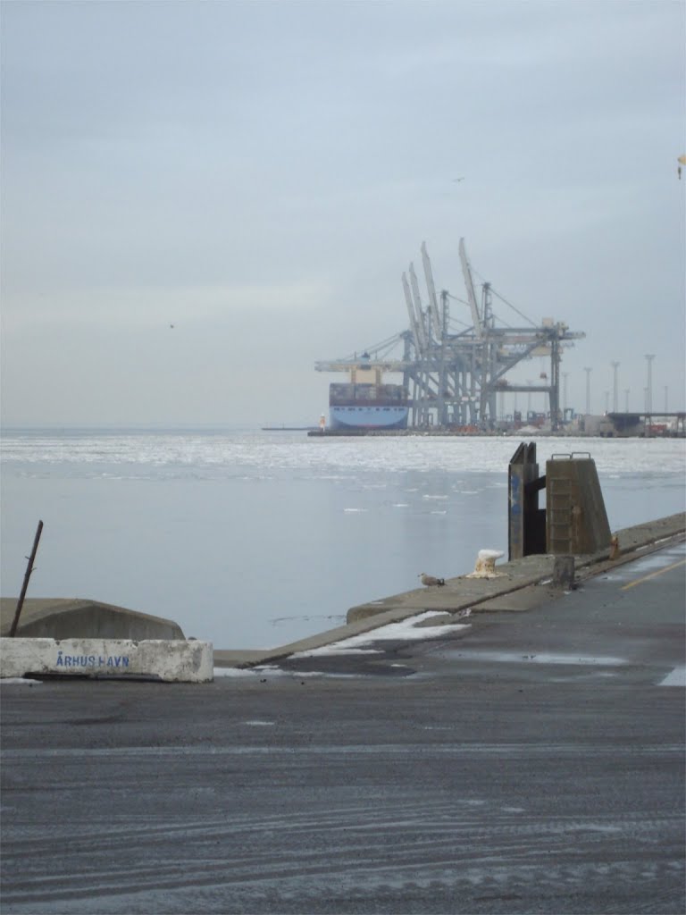 Maersk i Århus Havn by jan simonsen