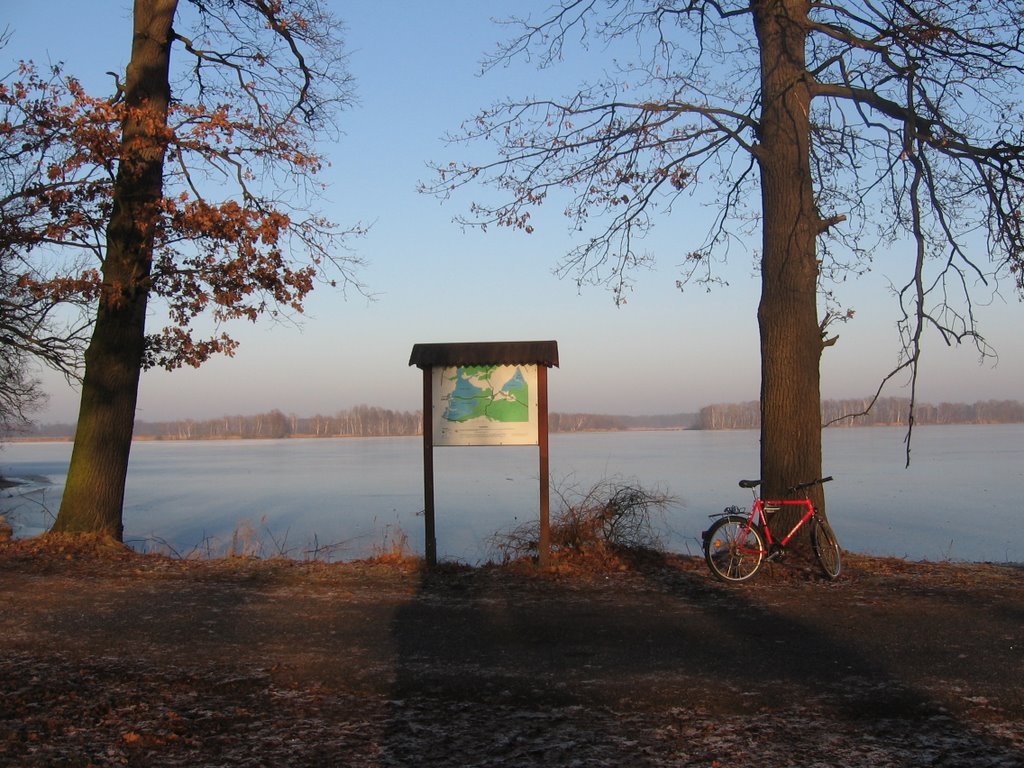 Gmina Żmigród, Poland by gumbas