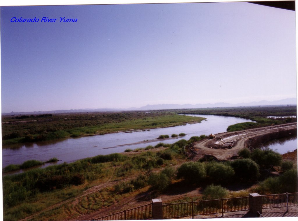 Colorado River at Yuma by stevedriver