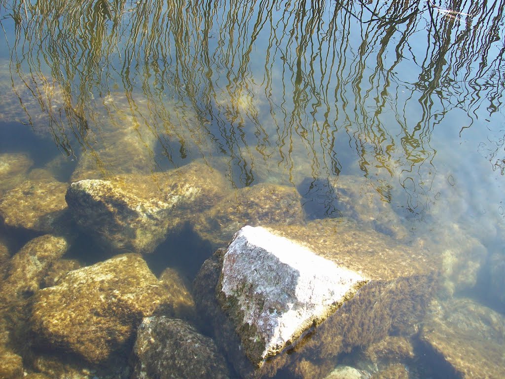 Stones in the lake by ►Džine™