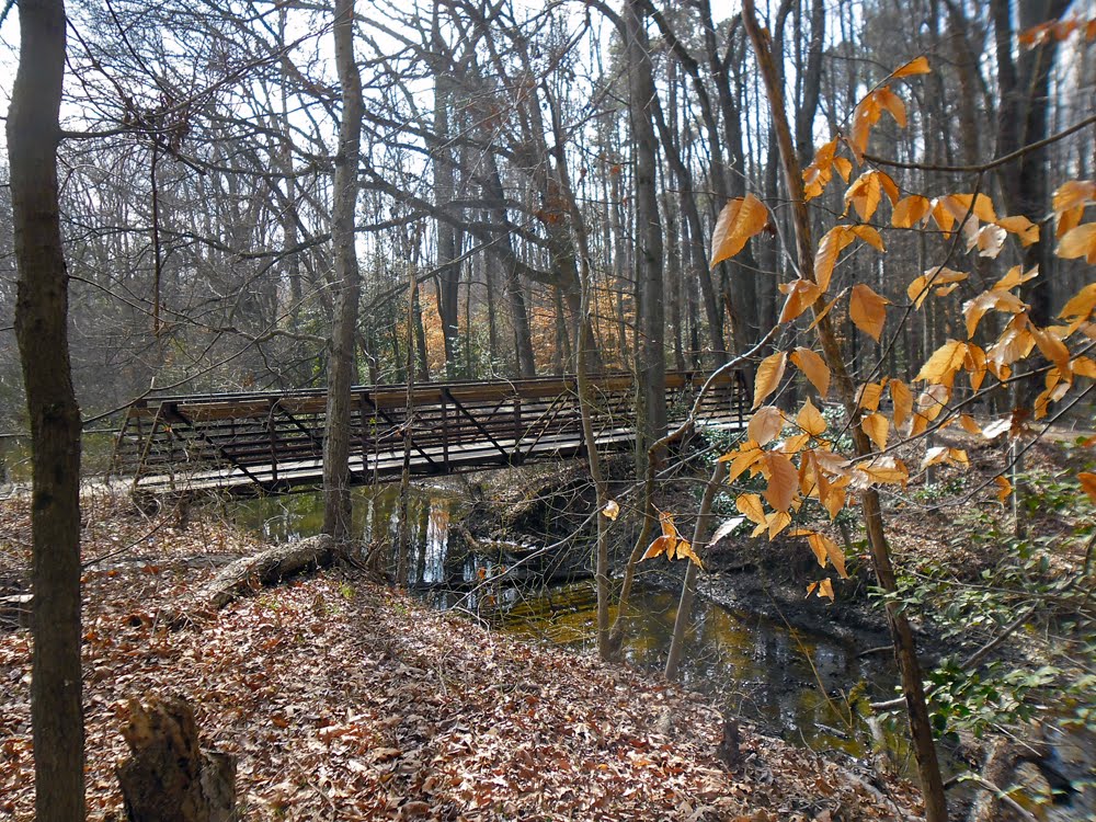 Three Lakes Park Bridge, Henrico County, VA. by r.w.dawson